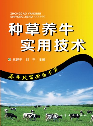 种草养牛实用技术