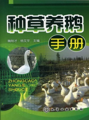 种草养鹅手册