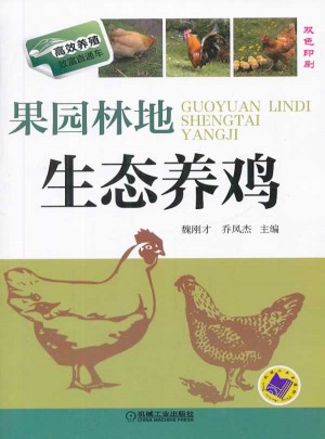 果园林地生态养鸡