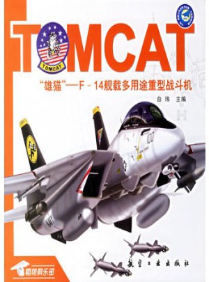 雄猫：F-14舰载多用途重型战斗机