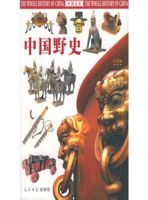 中国野史（彩图版）图书