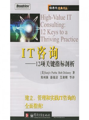IT咨询12项关键指标剖析