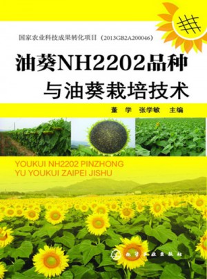 油葵NH2202品种与油葵栽培技术　　　　　　　　
