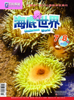 百科探秘 海底世界