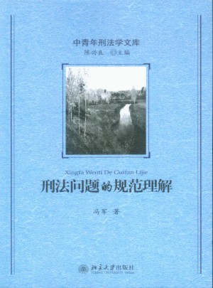 刑法问题的规范理解