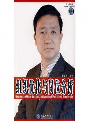 组织优化与岗位分析（软件）