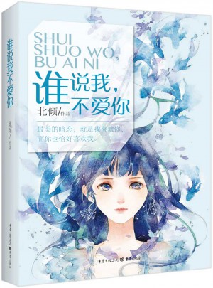 谁说我不爱你图书