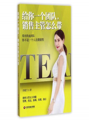 给你一个团队.销售主管怎么带