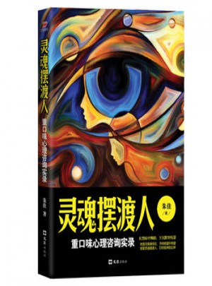 灵魂摆渡人：重口味心理咨询实录