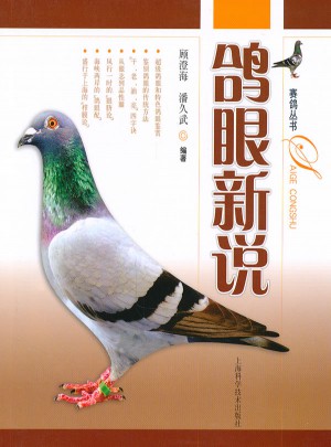 鸽眼新说
