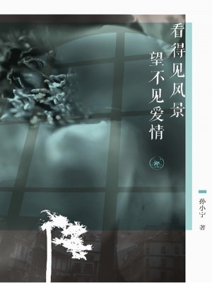 看得见风景 望不见爱情图书
