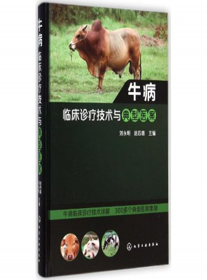 牛病临床诊疗技术与典型医案图书