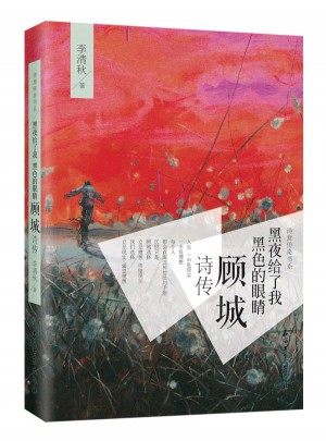 黑夜给了我黑色的眼睛：顾城诗传