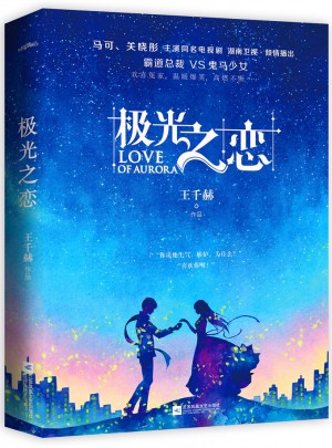 极光之恋图书