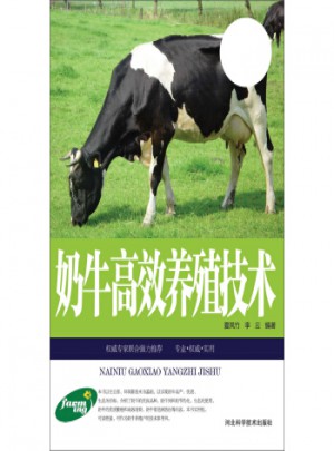 奶牛高效养殖技术