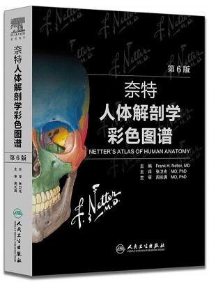 奈特人体解剖学彩色图谱(翻译版)