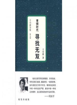 王小波全集（第五卷）：青铜时代·寻找无双（精装珍藏版）