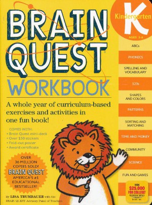 智力开发系列：幼儿园练习册图书