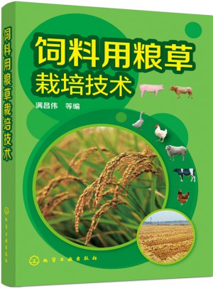 饲料用粮草栽培技术