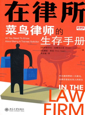 在律所：菜鸟律师的生存手册