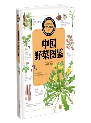 中国野菜图鉴图书
