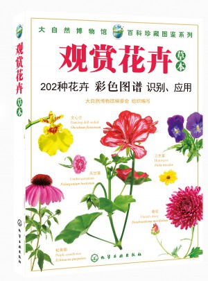 观赏花卉（草本）