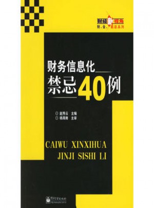 财务信息化禁忌40例