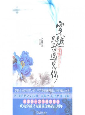 穿越只为遇见你全集