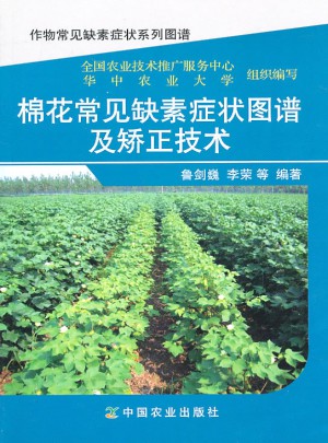 棉花常见缺素症状图谱及矫正技术