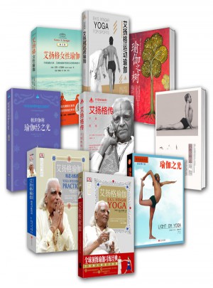 艾扬格瑜伽全集9册