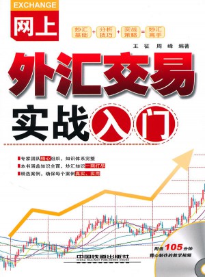 网上外汇交易实战入门