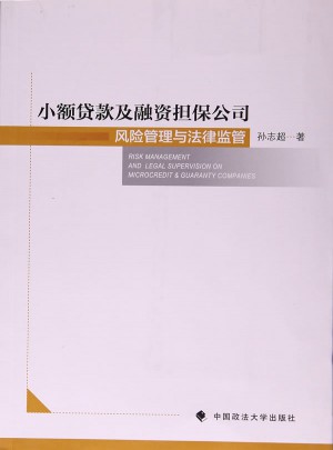小额贷款及融资担保公司风险管理与法律监管