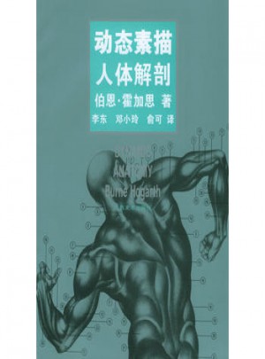 动态素描·人体解剖（中文简体字版）