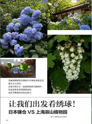 花园MOOK·绣球号