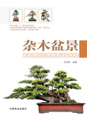 杂木盆景