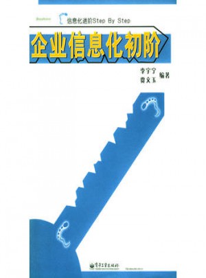 企业信息化初阶