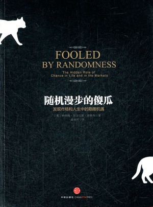 随机漫步的傻瓜图书