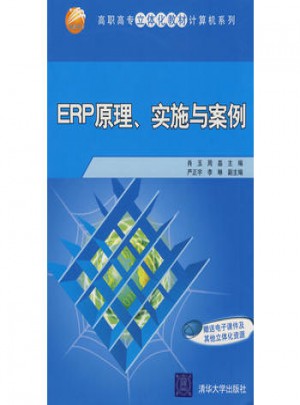 ERP原理、实施与案例
