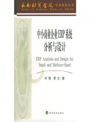 中小商业企业ERP系统分析与设计