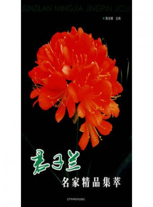 君子兰名家精品集萃