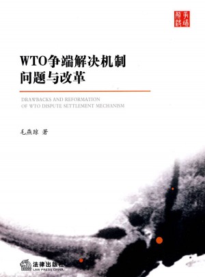 WTO争端解决机制问题与改革图书