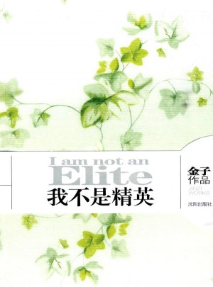 我不是精英