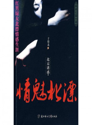北京诱惑·情魅北漂