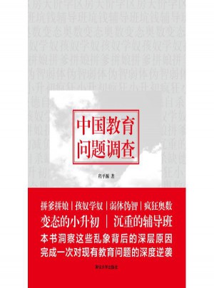中国教育问题调查