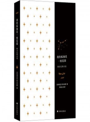 我的孤独是一座花园：阿多尼斯诗选