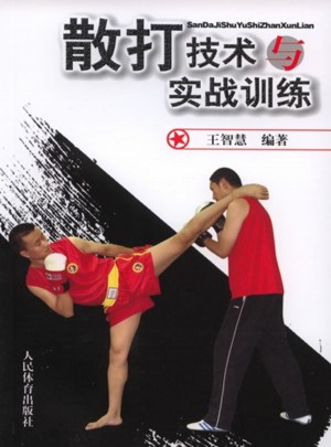 散打技术与实战训练