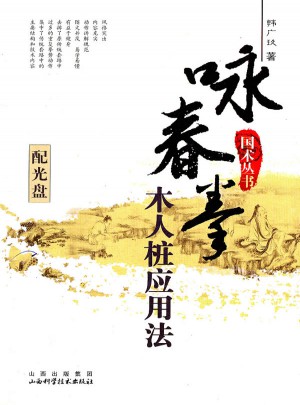 咏春拳木人桩应用法