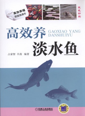 高效养淡水鱼
