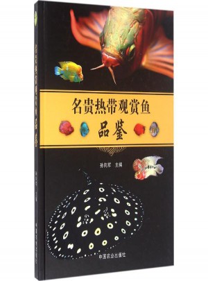 名贵热带观赏鱼品鉴