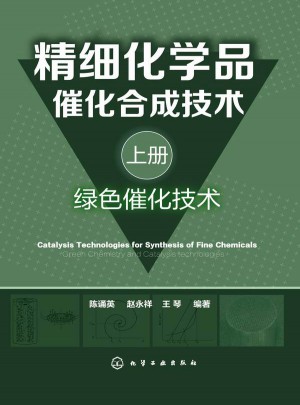 精细化学品催化合成技术图书